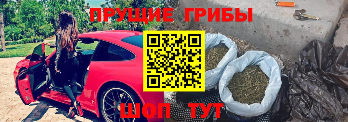Канабис  Cocaine  ГАШИШ  МЕФ   Вход с VPN  Гусиноозёрск  ГАШИШ  Купить наркотики цена 