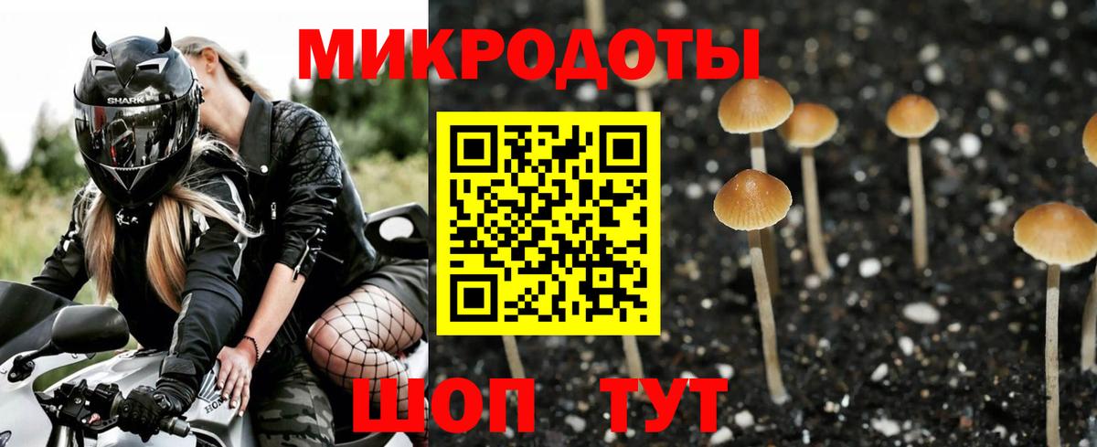 Гусиноозёрск  Псилоцибиновые грибы Psilocybe  Вход с VPN 